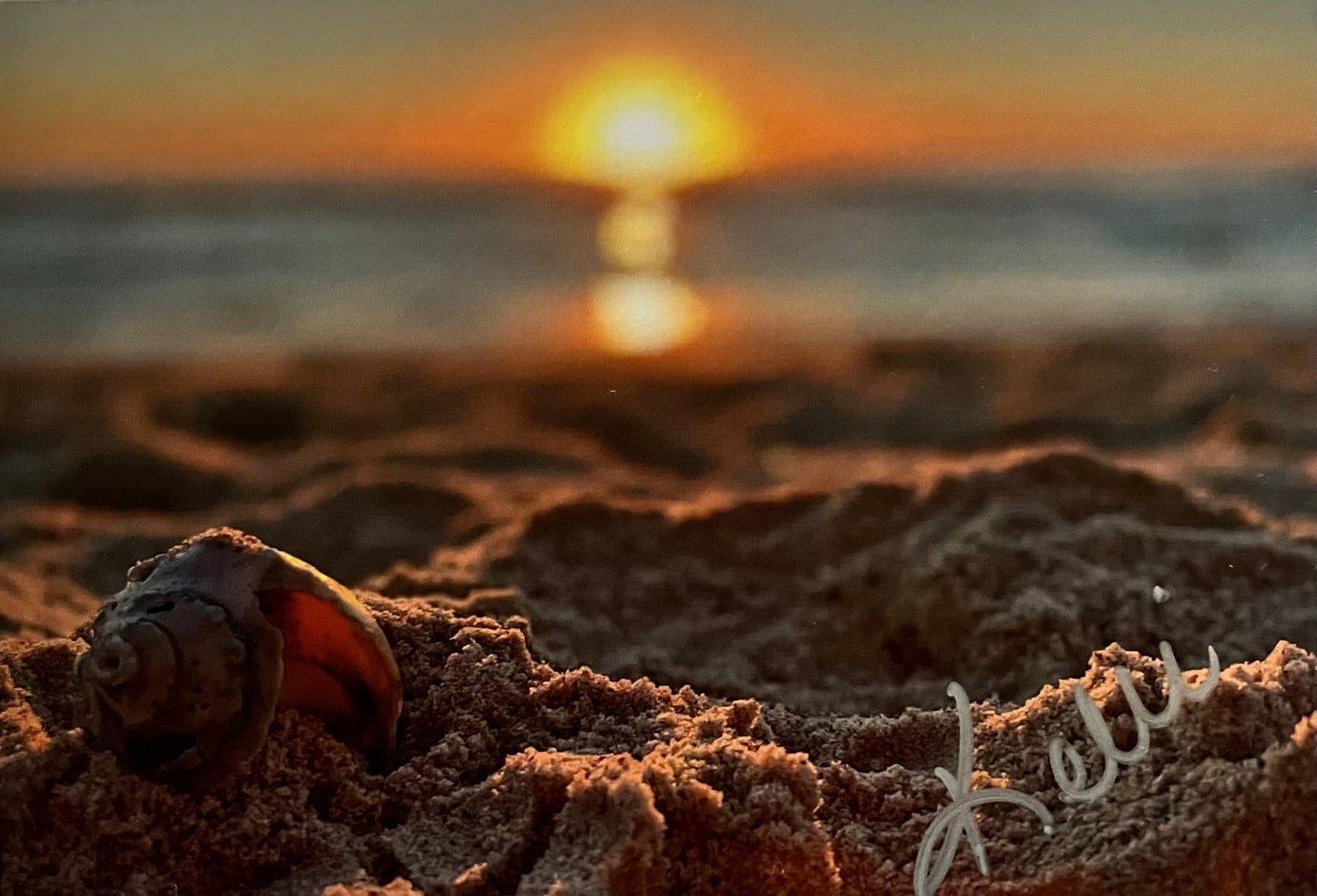 Be Still (Seashell Sunrise)